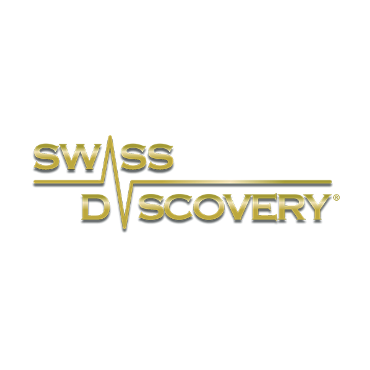 Swiss-Discovery.jpg